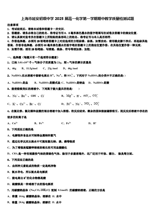 上海市延安初级中学2025届高一化学第一学期期中教学质量检测试题含解析