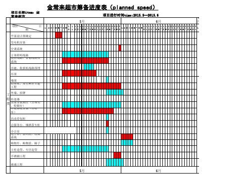 新店筹备进度表