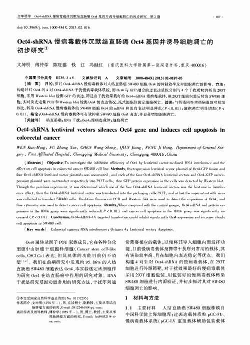 Oct4-shRNA慢病毒载体沉默结直肠癌Oct4基因并诱导细胞凋亡的初步研究