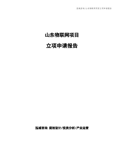 山东物联网项目立项申请报告