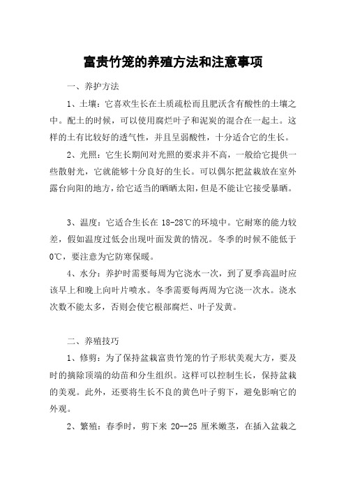 富贵竹笼的养殖方法和注意事项