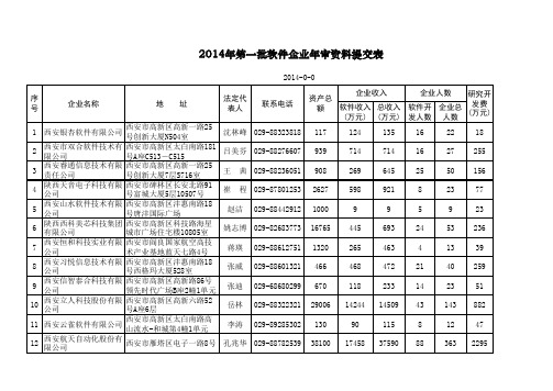 2014第一批软件企业年审表(总表)