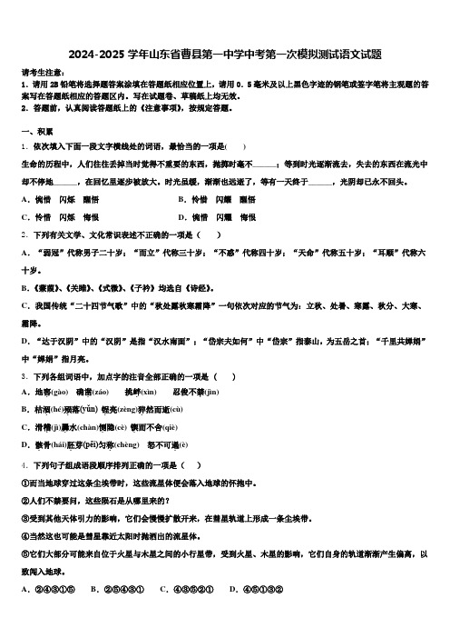 2024-2025学年山东省曹县第一中学中考第一次模拟测试语文试题含解析