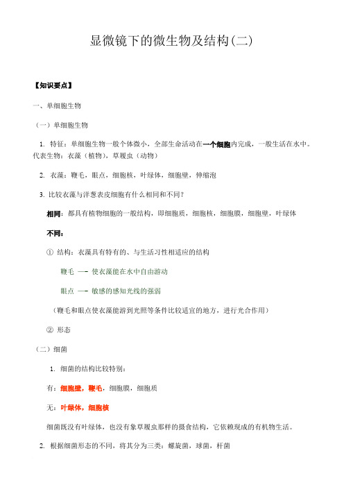 科学-显微镜下的微生物及结构(二)