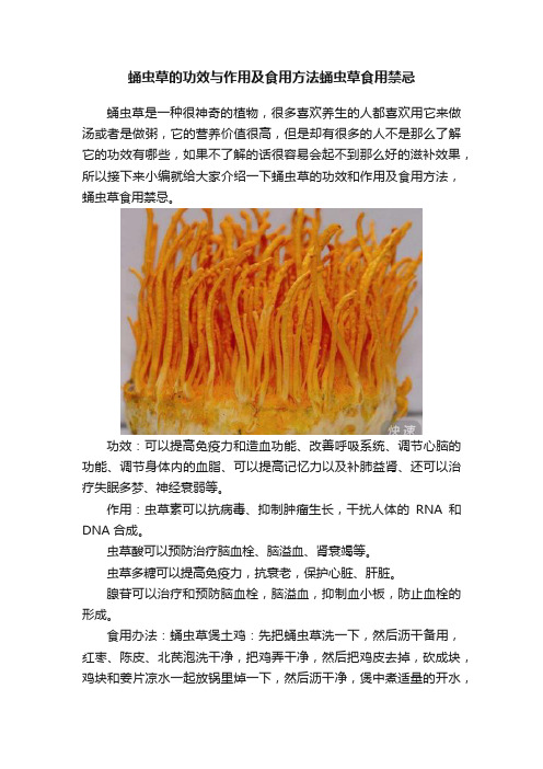 蛹虫草的功效与作用及食用方法蛹虫草食用禁忌