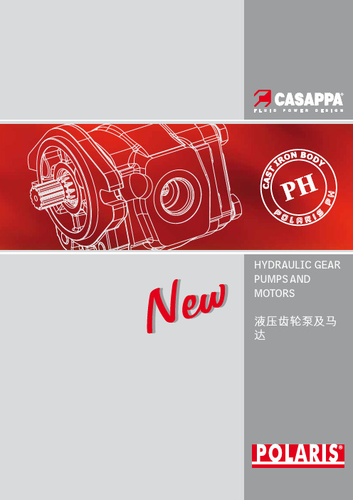 HYDRAULICGEARPUMPSANDMOTORS液压齿轮泵-Casappa