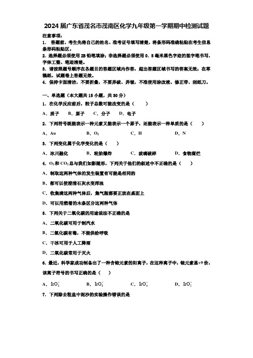 2024届广东省茂名市茂南区化学九年级第一学期期中检测试题含解析