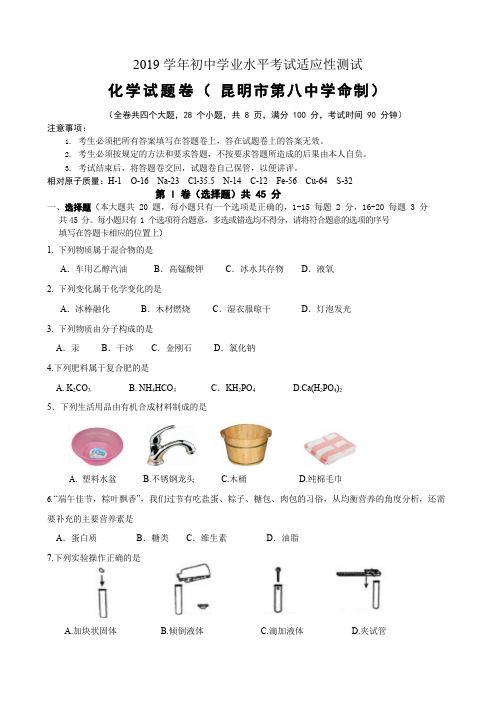 2019年适应性测试化学试卷