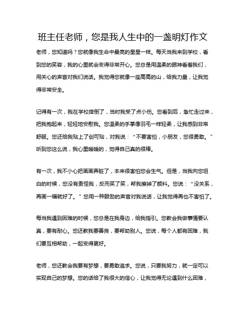 班主任老师,您是我人生中的一盏明灯作文