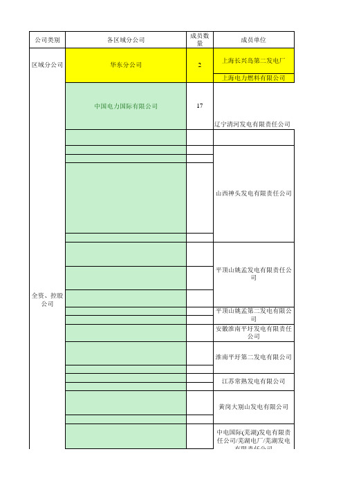 中电投所属各单位信息汇总表