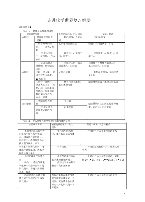 人教版化学九年级上册《走进化学世界》复习提纲