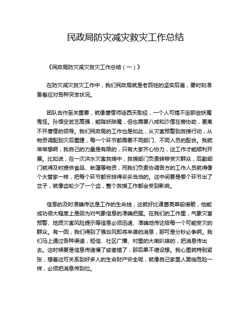 民政局防灾减灾救灾工作总结