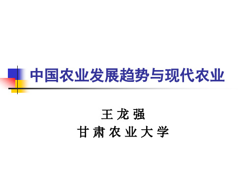 中国农业发展趋势与现代农业