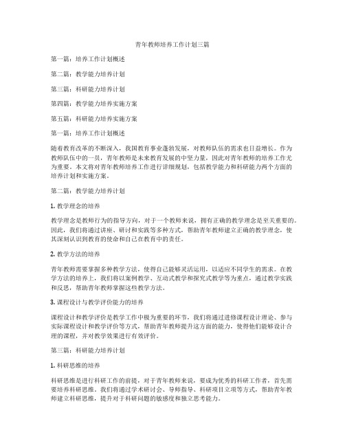 青年教师培养工作计划三篇