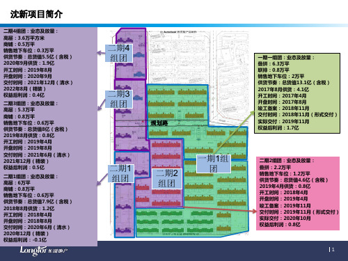 924449-房地产营销-【沈阳龙湖天宸原著】4217-4(德旭)