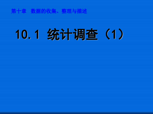 1统计调查(1)  公开课精品课件