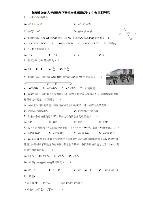 鲁教版2019六年级数学下册期末模拟测试卷1( 含答案详解)