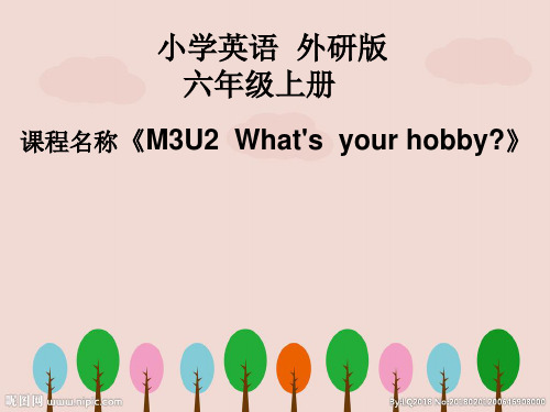 M3U2 What's your hobby