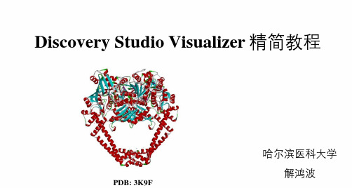 Discovery Studio Visualizer简易教程