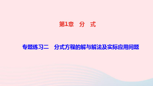 湘教版八年级数学上册同步教学：第1章分式专题练习二分式方程的解与解法及实际问题