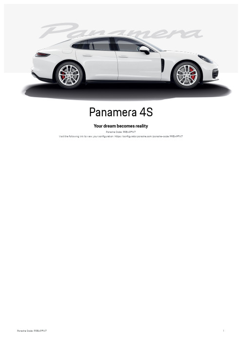 Porsche Panamera 4S 配置说明书