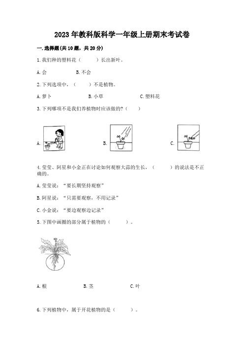 2023年教科版科学一年级上册期末考试卷附参考答案【综合卷】