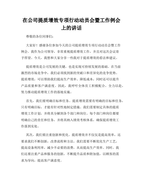 在公司提质增效专项行动动员会暨工作例会上的讲话