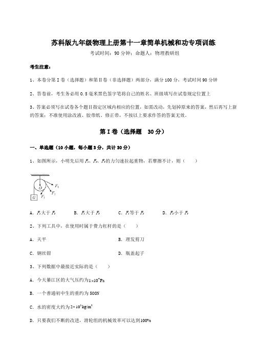 考点解析苏科版九年级物理上册第十一章简单机械和功专项训练试卷(附答案详解)