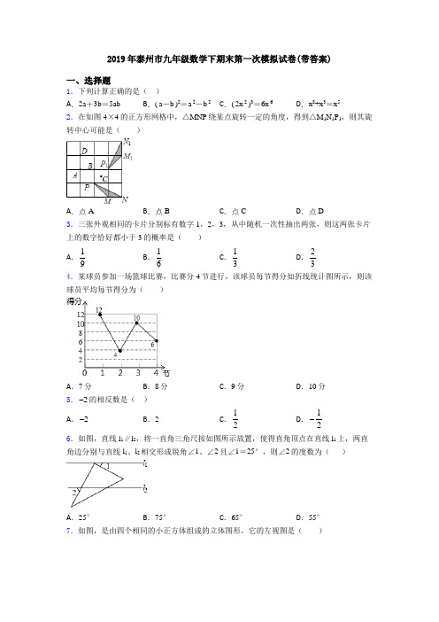 2019年泰州市九年级数学下期末第一次模拟试卷(带答案)