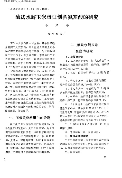 酶法水解玉米蛋白制备氨基酸的研究