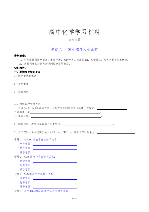 人教版高中化学选修四专题六   离子浓度大小比较.docx