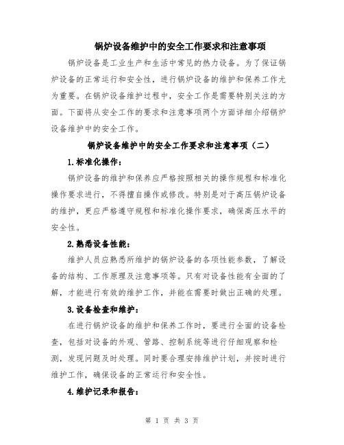 锅炉设备维护中的安全工作要求和注意事项