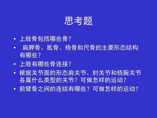 人体解剖学——上肢骨及其连结