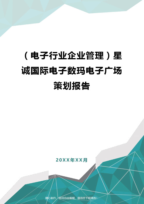 [电子行业企业管理]星诚国际电子数玛电子广场策划报告