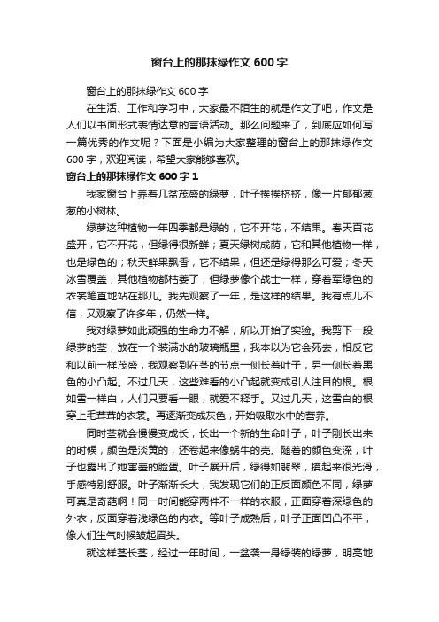 窗台上的那抹绿作文600字