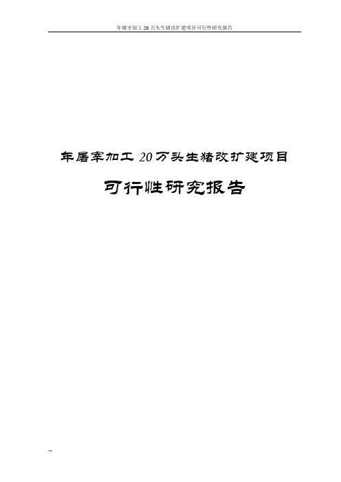 年屠宰加工20万头生猪改扩建项目可行性研究报告