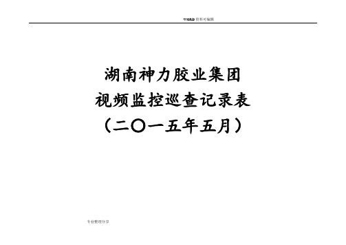 5月份视频监控巡查记录文本表