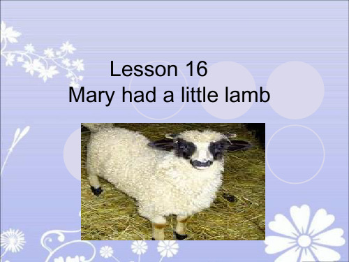 新概念3 Lesson_16 Mary had a little lamb