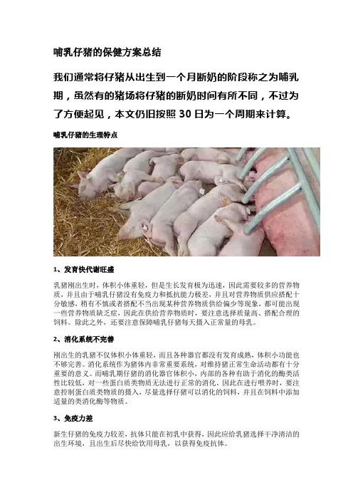 哺乳仔猪的保健方案总结