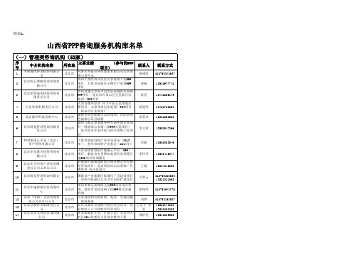 ppp咨询服务机构