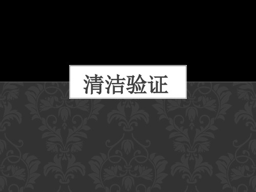 清洁验证