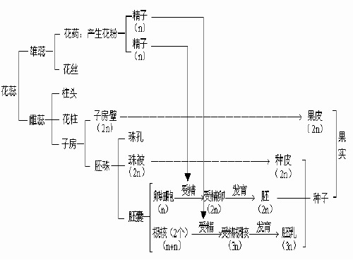 生物必修2 5,6,7章总结