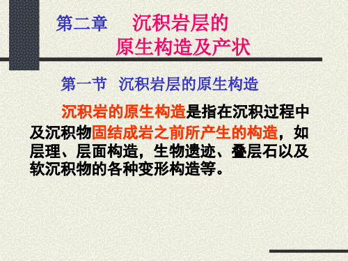 沉积岩层的原生构造及产状一