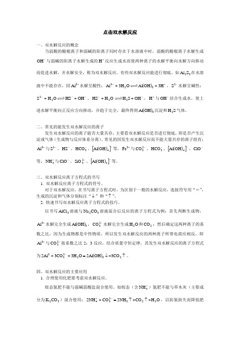 高二化学点击双水解反应