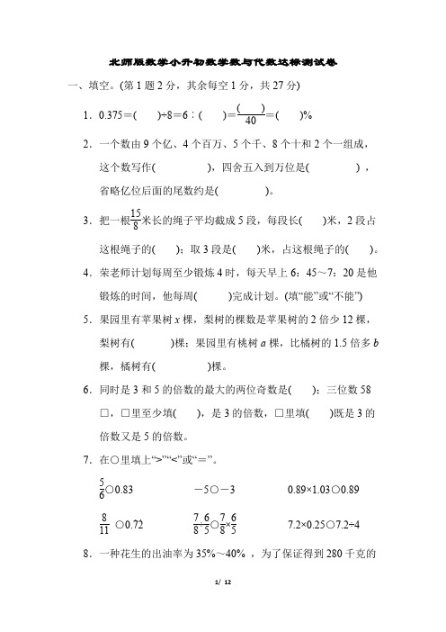 北师版数学小升初数学数与代数达标测试卷含答案