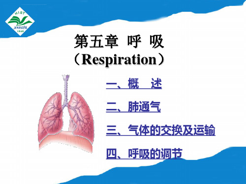 动物生理学第五章呼吸幻灯片课件