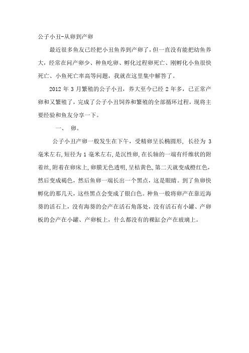 公子小丑从卵到成鱼