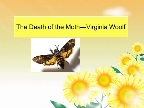 The death of moth