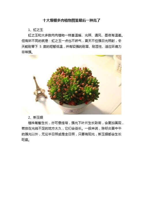 十大爆棚多肉植物图鉴最后一种亮了