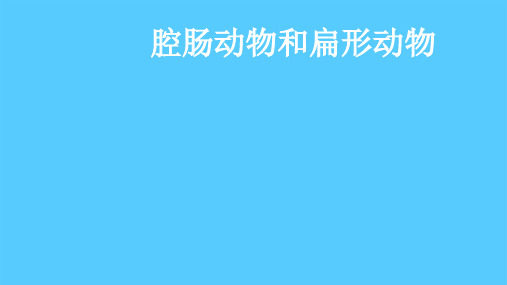 人教版八年级生物上册 第五单元第一章 第一节 腔肠动物和扁形动物 课件PPT